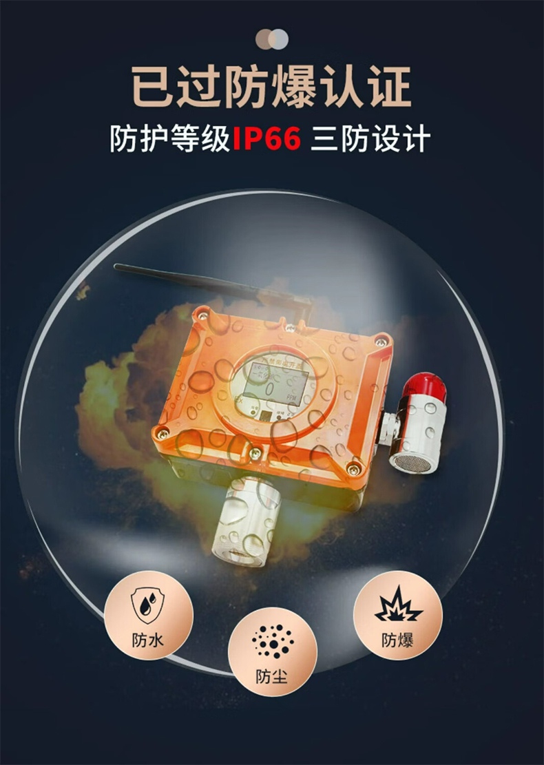 愛德克斯BTYQ-DC50氣體探測(cè)儀15.jpg