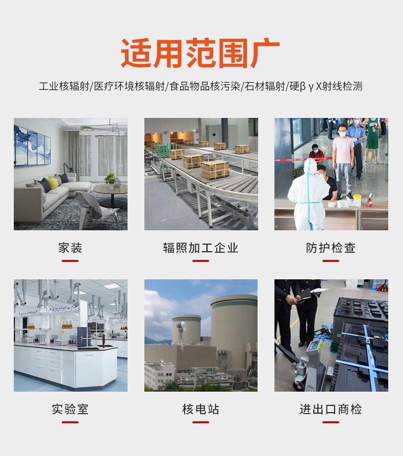 愛德克斯HFS-10核輻射測量儀4.jpg